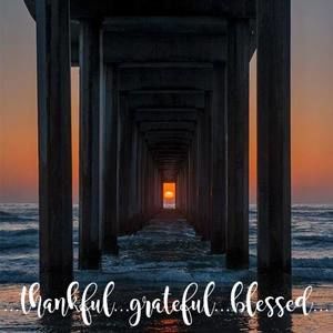 Meet your Posher, Priscilla